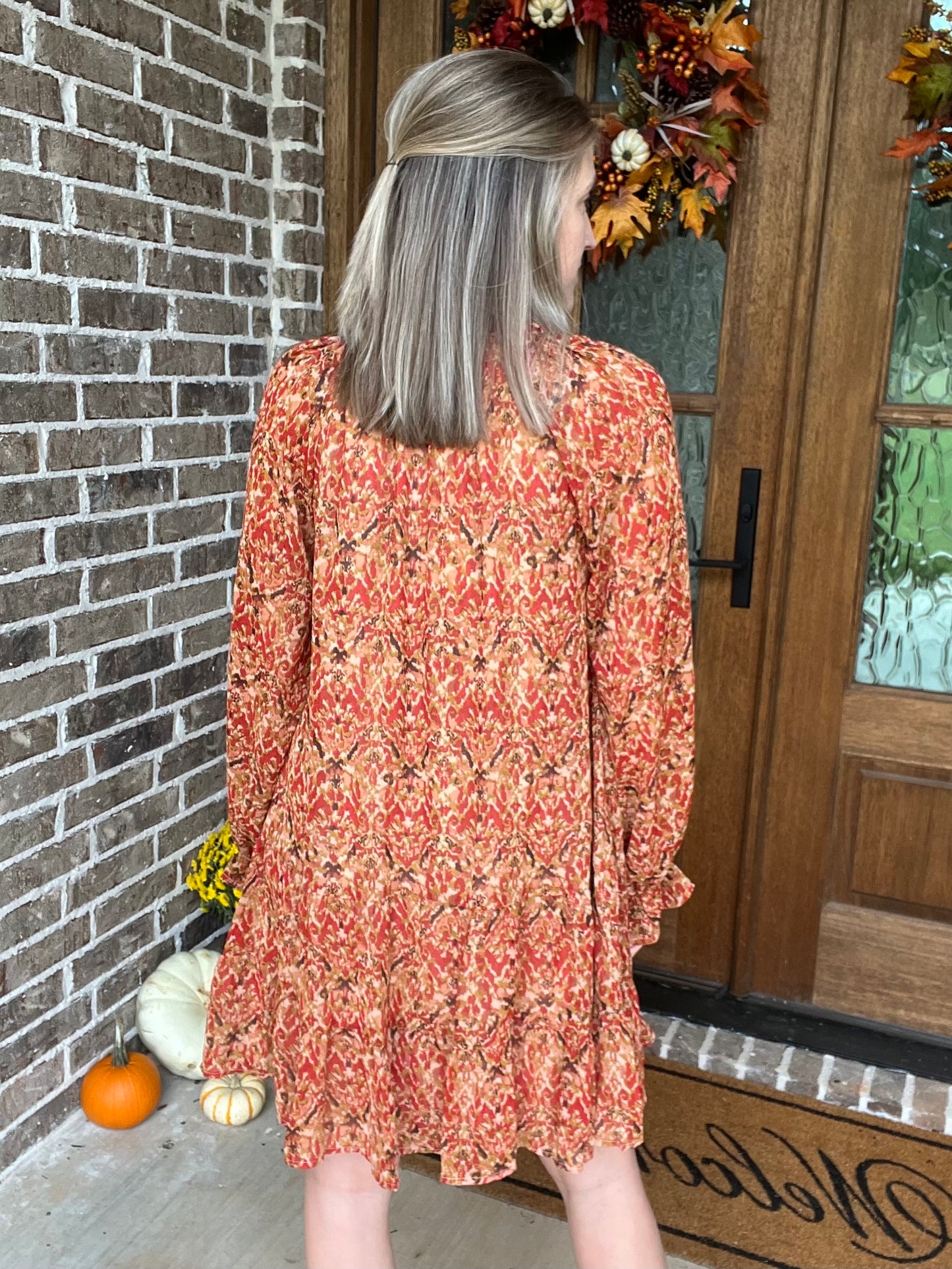 Raina long sleeve dress- Rust